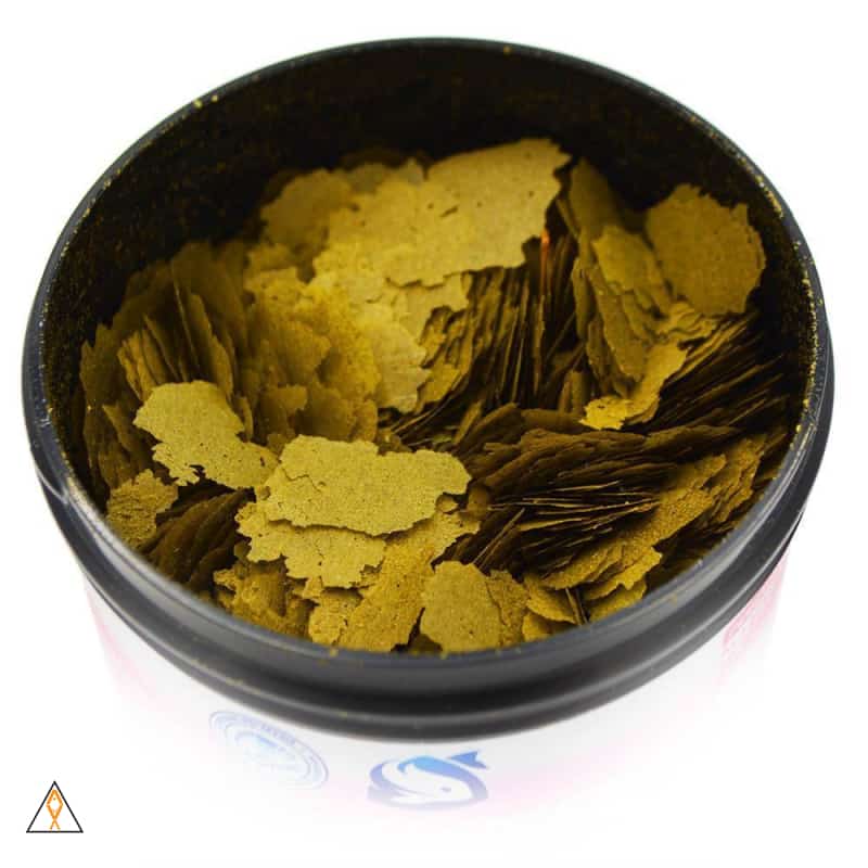 PE Cichlid Fish Food Flakes - Piscine Energetics - Image 2