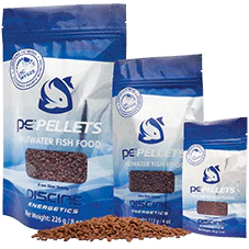 PE Saltwater Fish Pellets - Piscine Energetics - Image 2