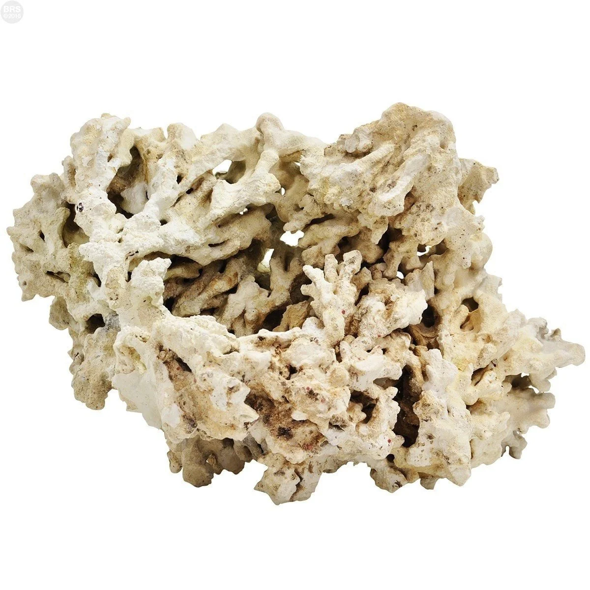 Pukani Dry Rock - ALA - Image 2
