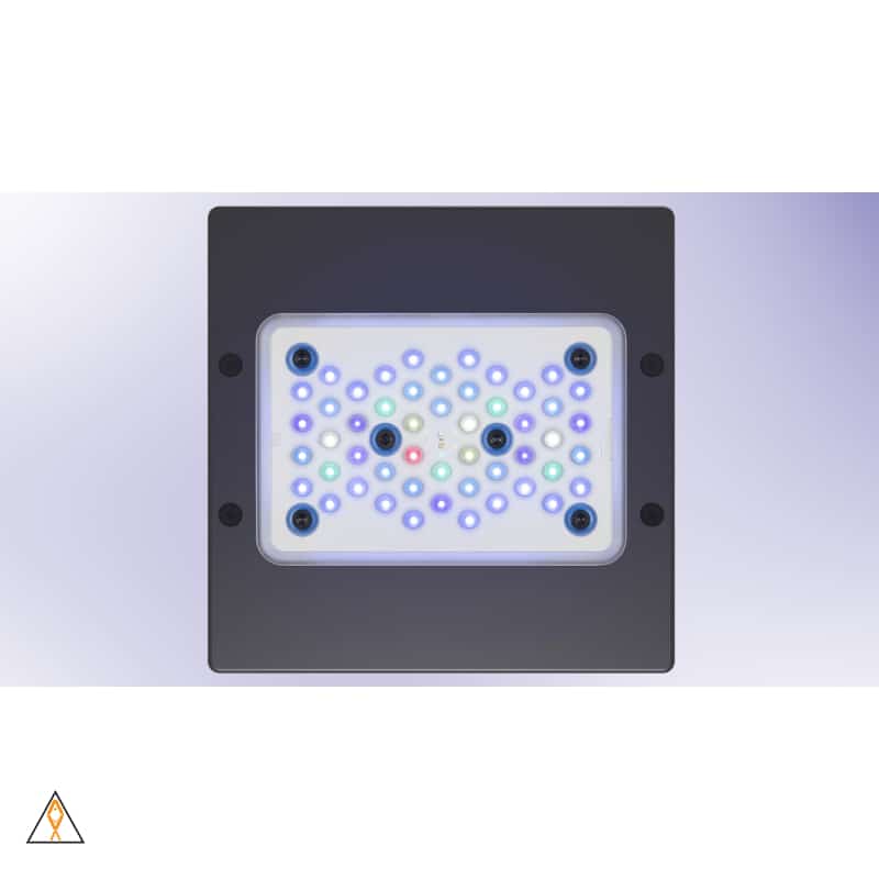 Radion G5 Pro LED Light Fixture - EcoTech Marine - Image 3