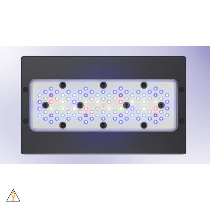 Radion G5 Pro LED Light Fixture - EcoTech Marine - Image 4