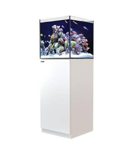 REEFER Nano Aquarium System (21 GAL) - Red Sea - Image 4