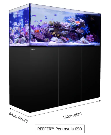 REEFER Peninsula 650 Deluxe Aquarium System (140 GAL) - Red Sea - Image 5