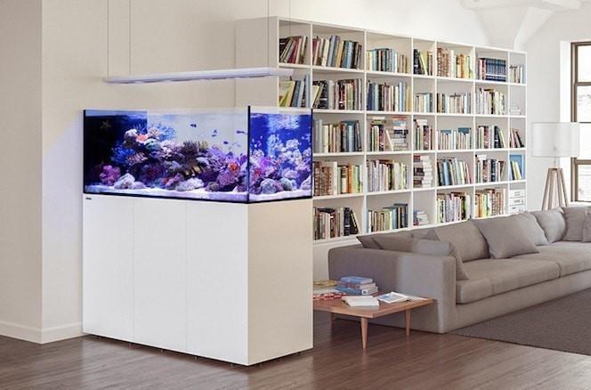 REEFER Peninsula 650 Deluxe Aquarium System (140 GAL) - Red Sea - Image 6