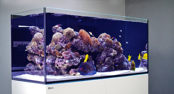 REEFER XL 525 Deluxe Aquarium System (108 GAL) - Red Sea - Image 6