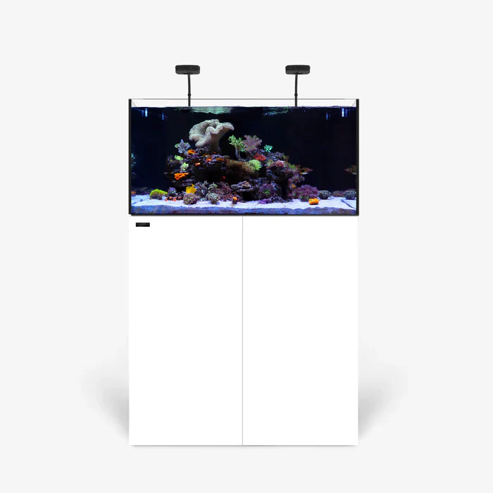 Rimless AIO Aquarium Systems - Waterbox Aquariums - Image 132