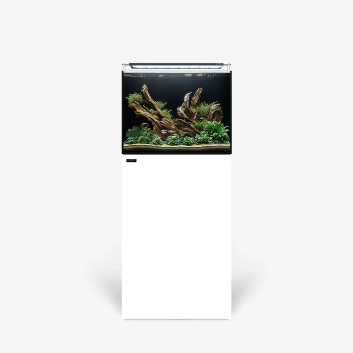 Rimless AIO Aquarium Systems - Waterbox Aquariums - Image 14