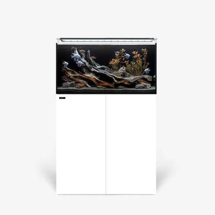 Rimless AIO Aquarium Systems - Waterbox Aquariums - Image 18