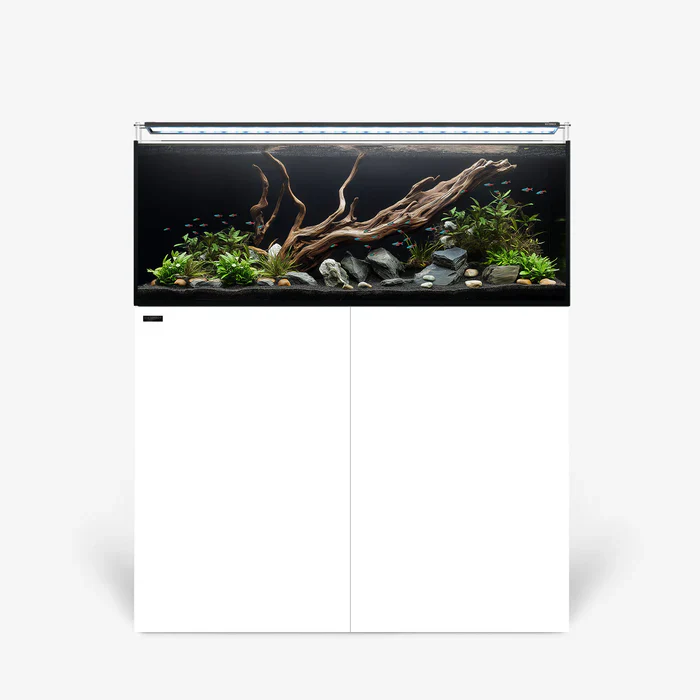 Rimless AIO Aquarium Systems - Waterbox Aquariums - Image 28
