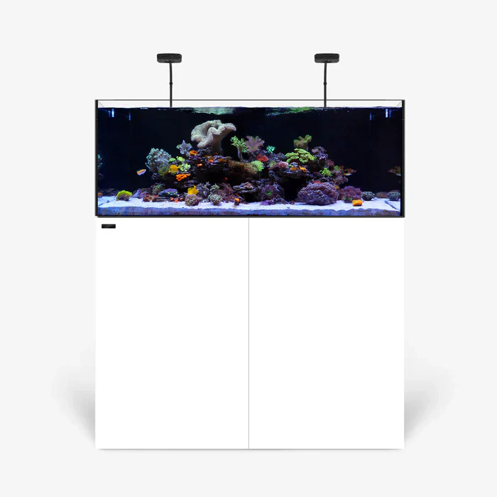 Rimless AIO Aquarium Systems - Waterbox Aquariums - Image 37