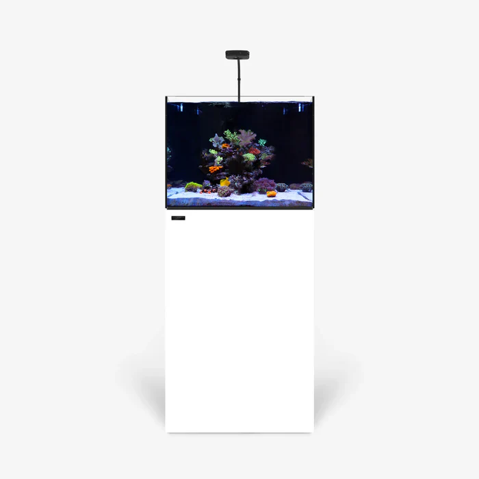 Rimless AIO Aquarium Systems - Waterbox Aquariums - Image 76