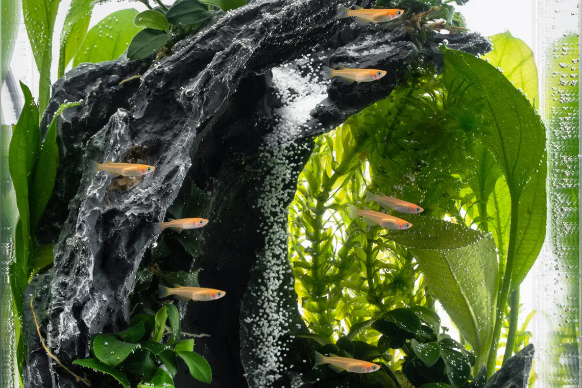 Sand Waterfall Tank Kits - Aqua Worx - Image 3