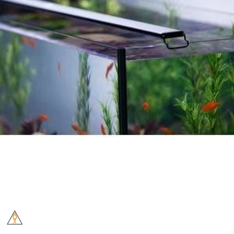 Satellite Plus Pro Freshwater Aquarium LED Light - Current USA - Image 3