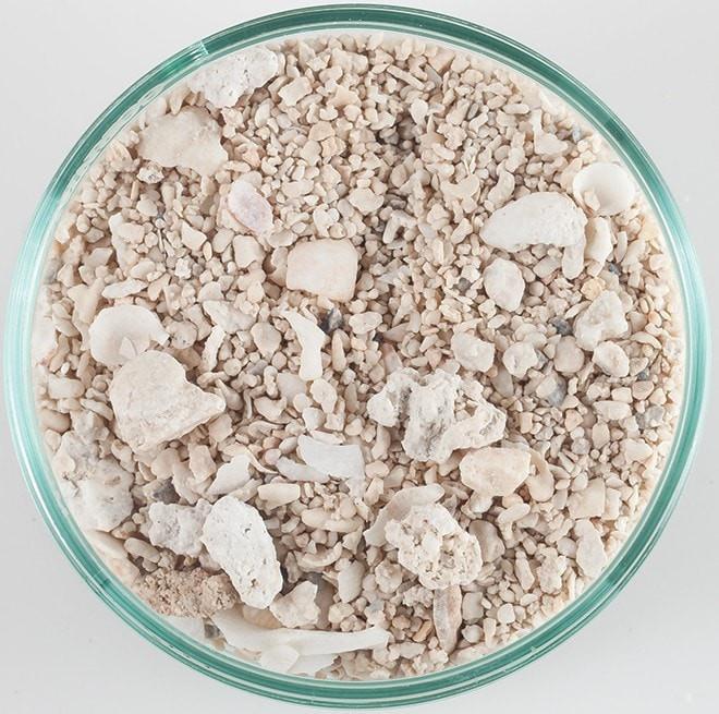 Seaflor Special-Grade Aragonite Reef Sand - CaribSea - Image 4