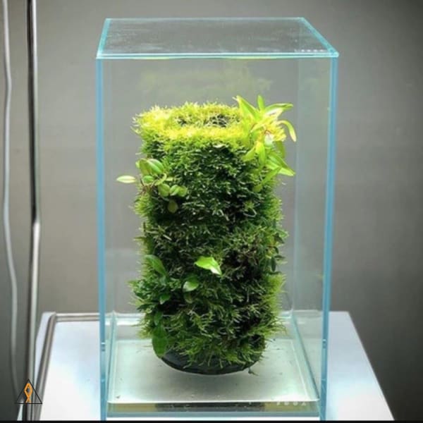 Terra Base Clay Pot - DOOA - Image 3