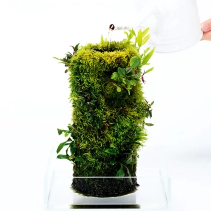 Terra Base Clay Pot - DOOA - Image 5