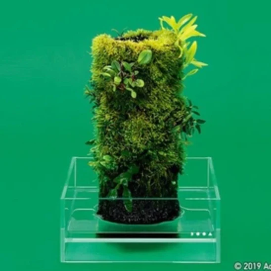 Terra Base Clay Pot - DOOA - Image 8