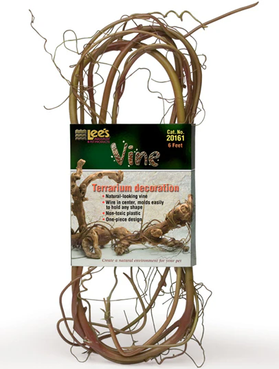 Terrarium Vine - Lee's - Image 2