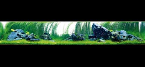 The Art of Nature Aquarium Photo Book - ADA - Image 3