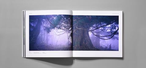 The Art of Nature Aquarium Photo Book - ADA - Image 7