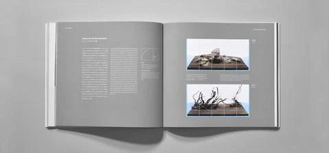The Art of Nature Aquarium Photo Book - ADA - Image 8