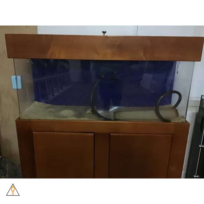 Traditional Acrylic Aquarium w/ Wood Stand and Hood - $800 Cash Only - Image 3