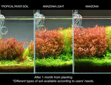 Tropical River Soil - DOOA - Image 4