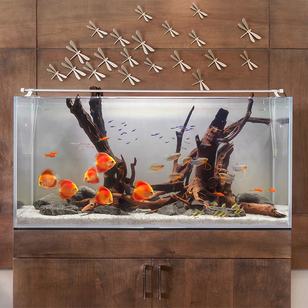 TrueLumen Pro LED Strip Light 12,000K - Current USA 48" - Image 3