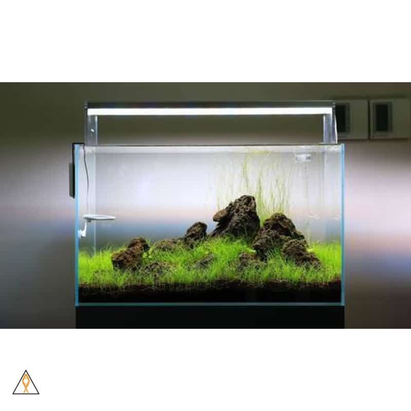 Twinstar II E-Series Planted LED Strip - Image 8