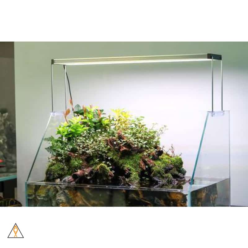 Twinstar II E-Series Planted LED Strip - Image 9