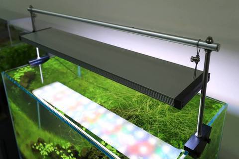 Twinstar II S-Series Planted LED Strip - Image 10