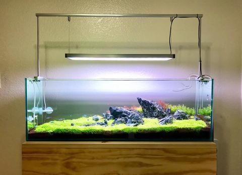 Twinstar II S-Series Planted LED Strip - Image 11