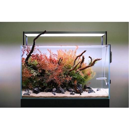 Twinstar II S-Series Planted LED Strip - Image 7