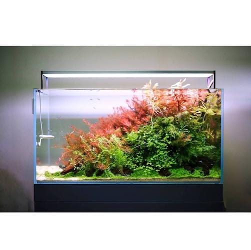 Twinstar II S-Series Planted LED Strip - Image 8