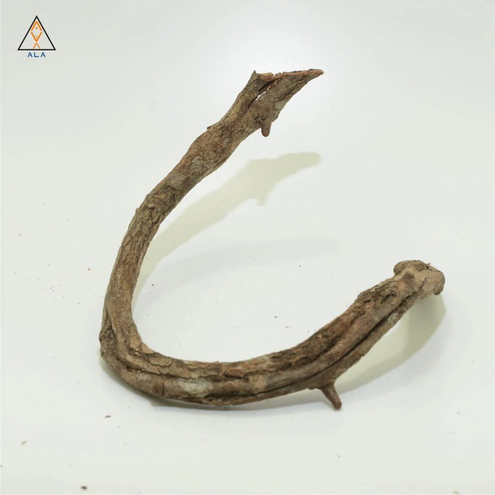 Twisty Vine - ALA - Image 3