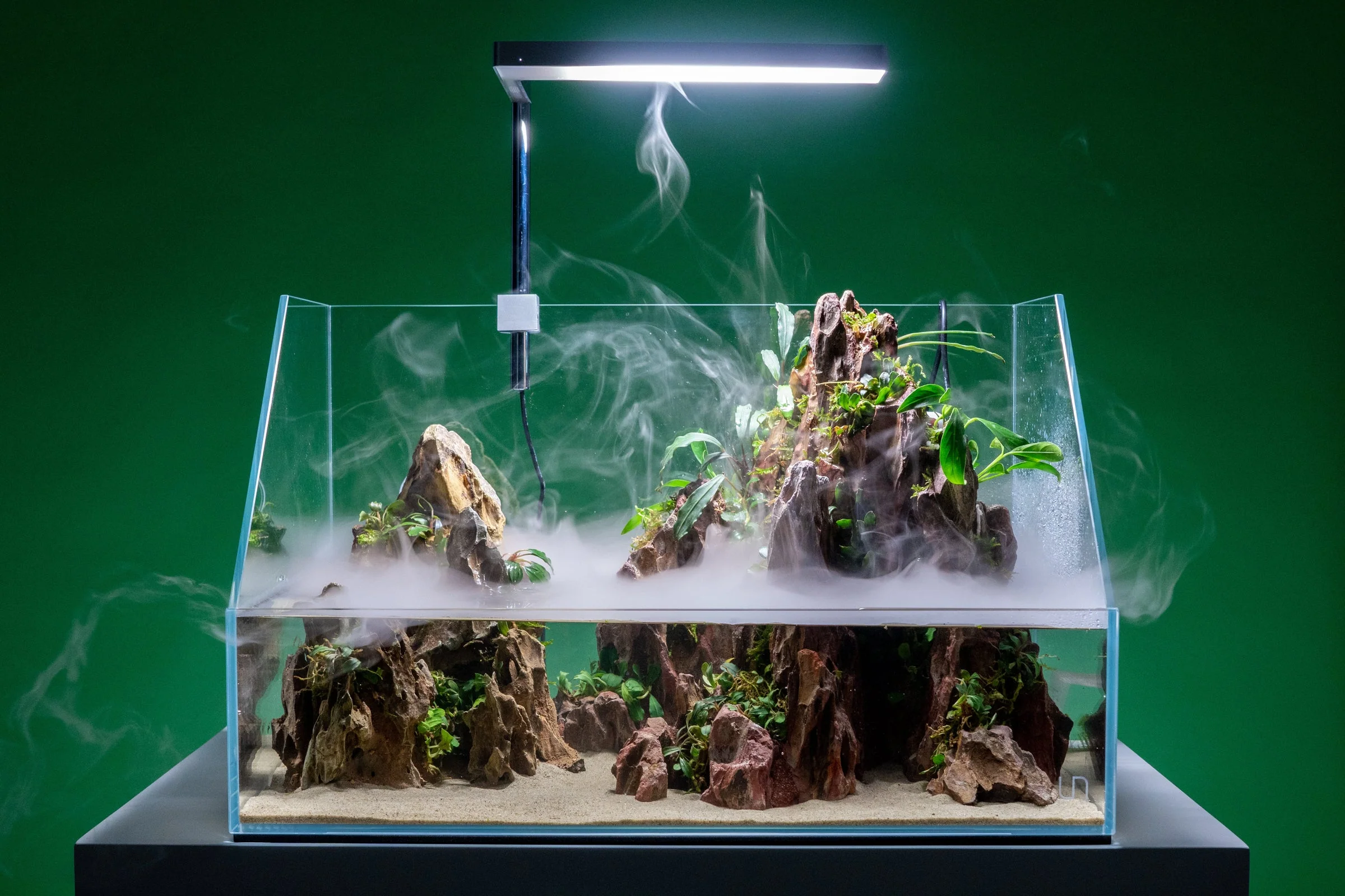 UNS 45E Rimless Paludarium (4 GAL) - Ultum Nature Systems - Image 7