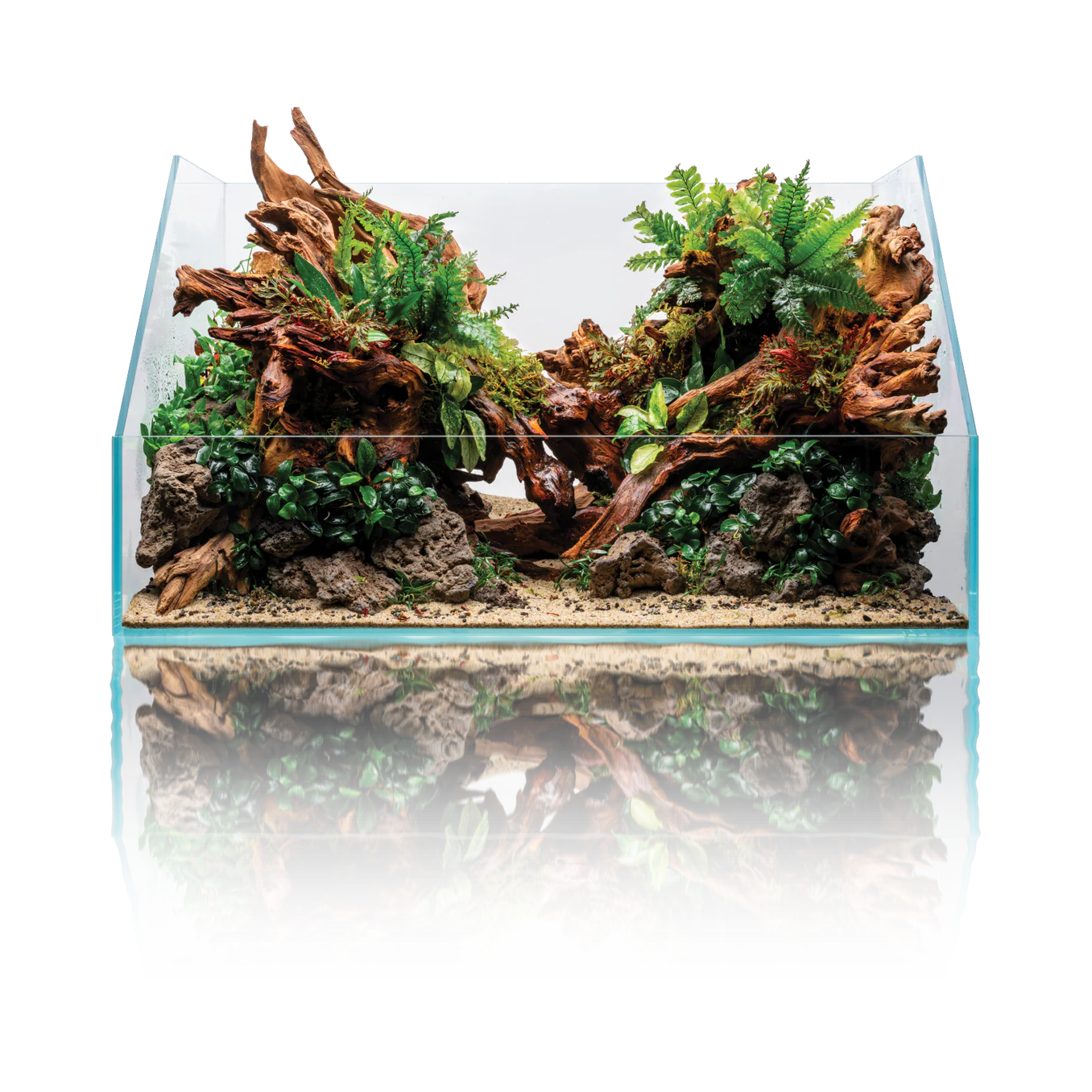 UNS 60E Rimless Paludarium (7 GAL) - Ultum Nature Systems - Image 7