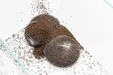 UNS Controbase Base Substrate - Ultum Nature Systems - Image 4