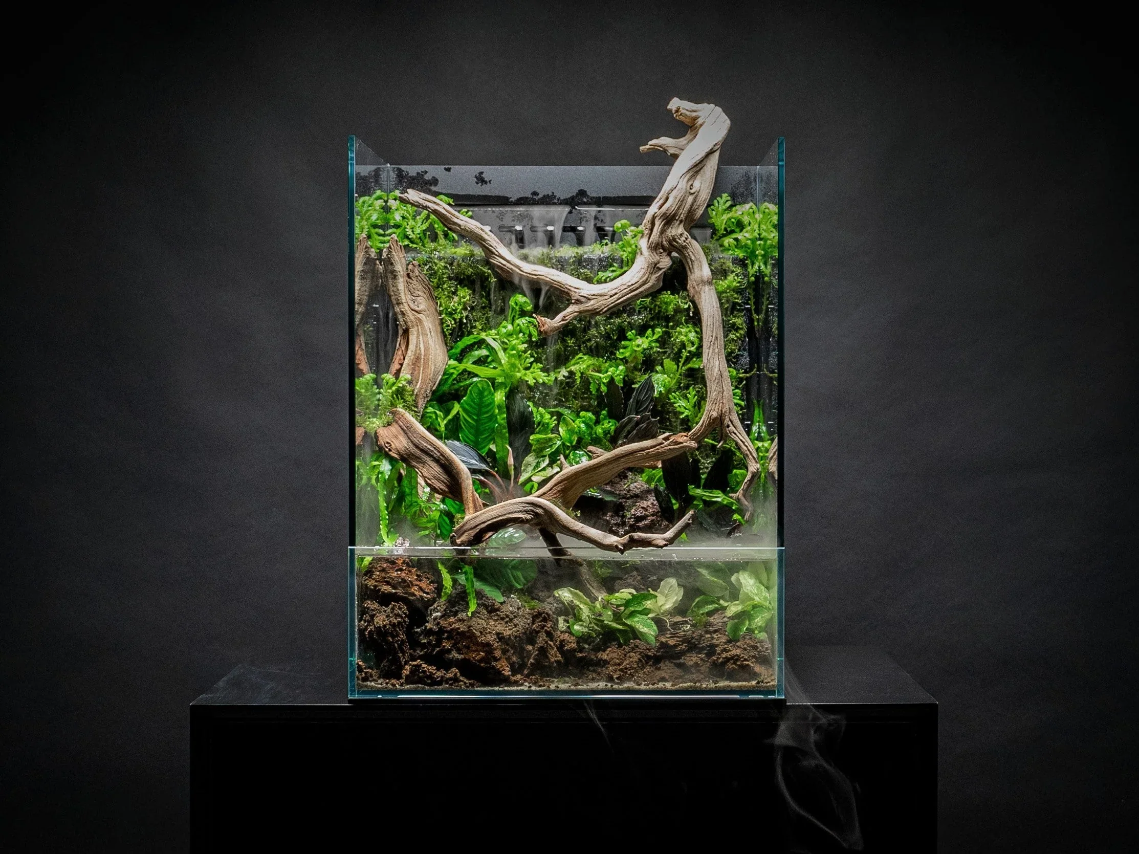UNS Foresta Integrated Paludarium - Ultum Nature Systems - Image 11