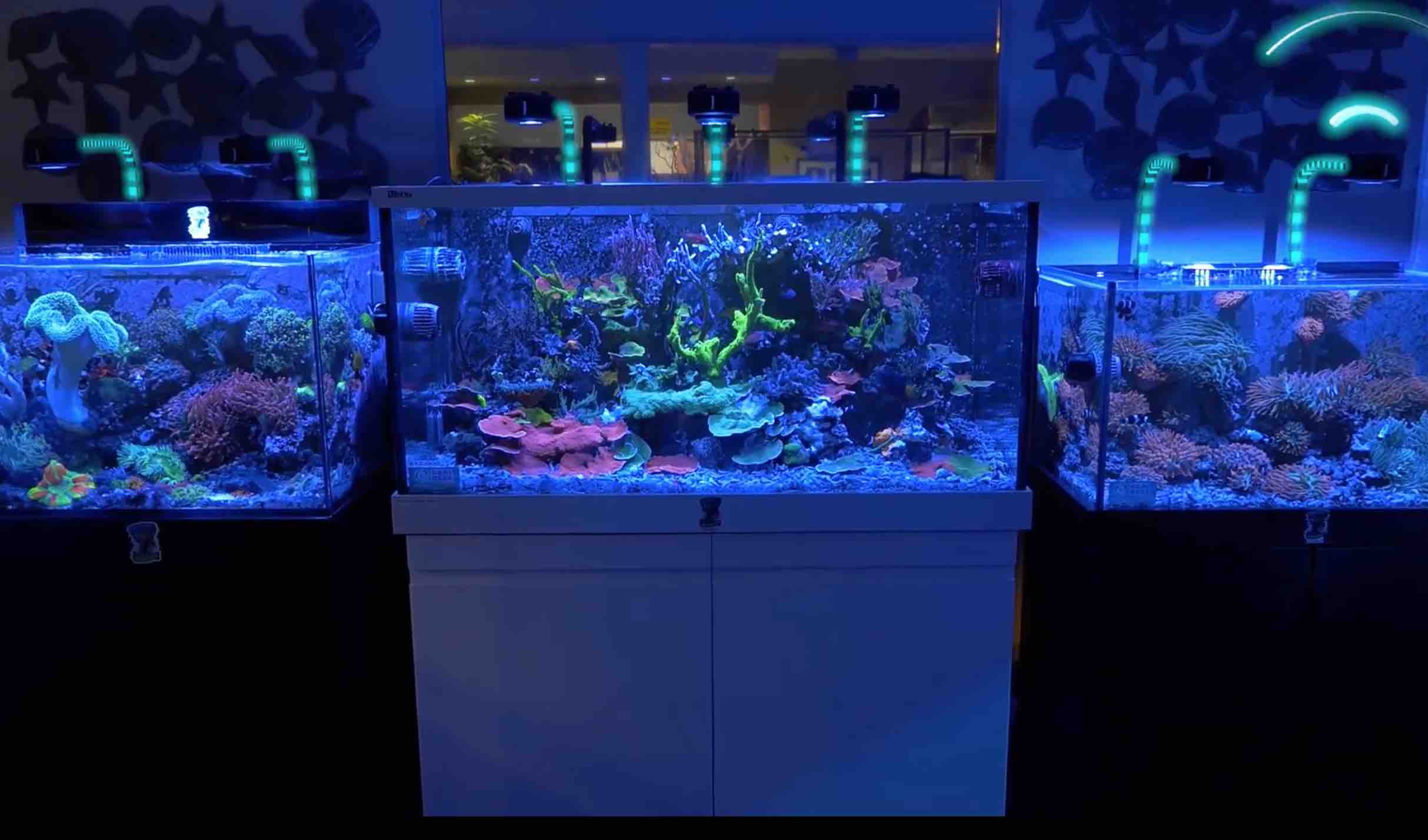 WiFi Wireless Lighting Dongle - Kessil - Image 7
